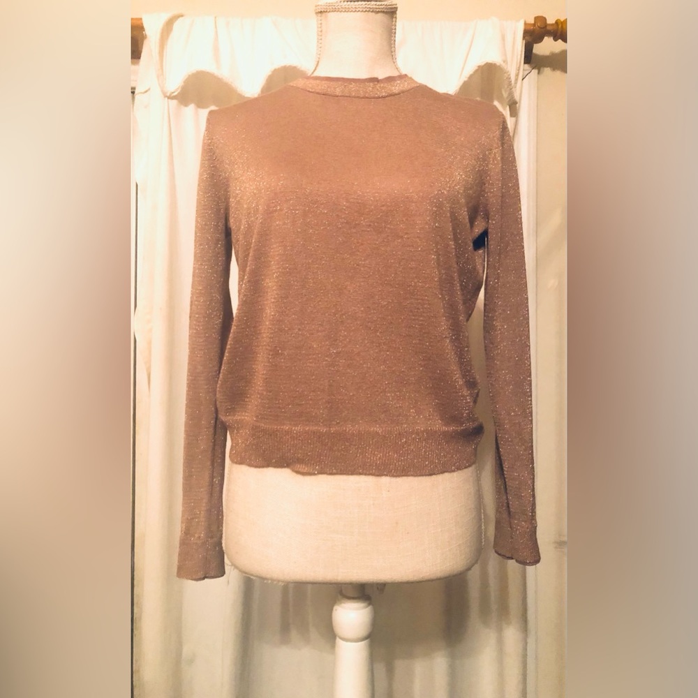 Top Shop Sparkle Gold Long sleeve Blouse with Short turtle neck fringe